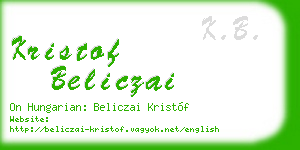 kristof beliczai business card
