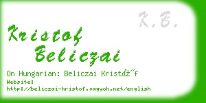 kristof beliczai business card